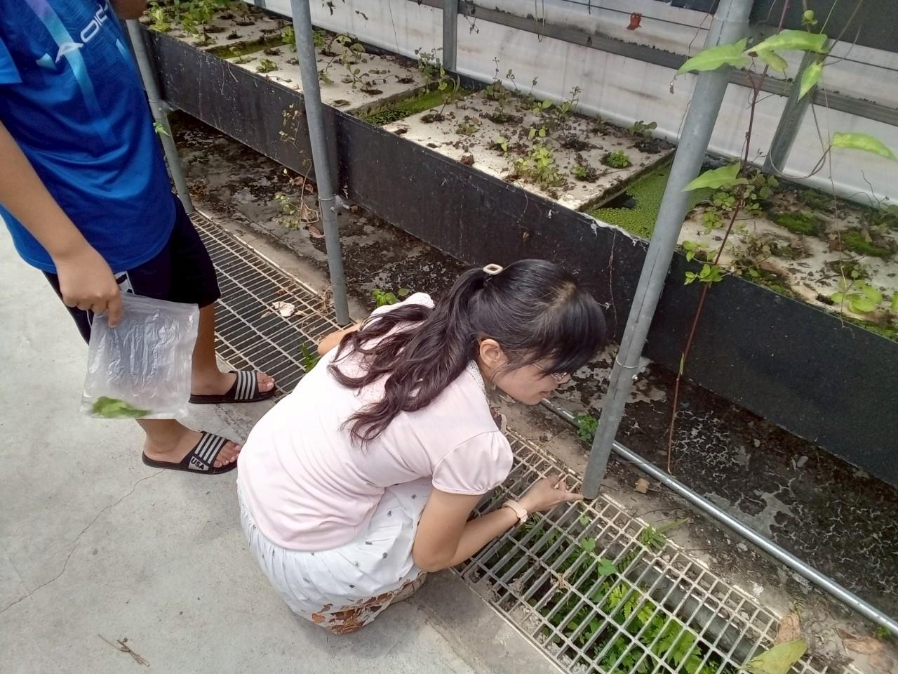 114小六+國三宏仁體驗營(14)