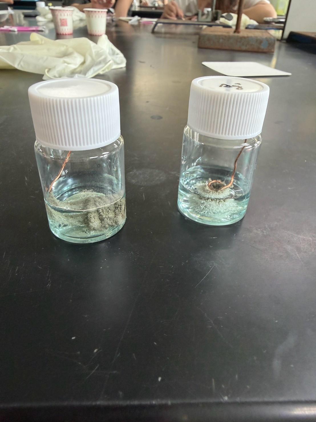 115嘉大化學實驗體驗課(高一)(3)
