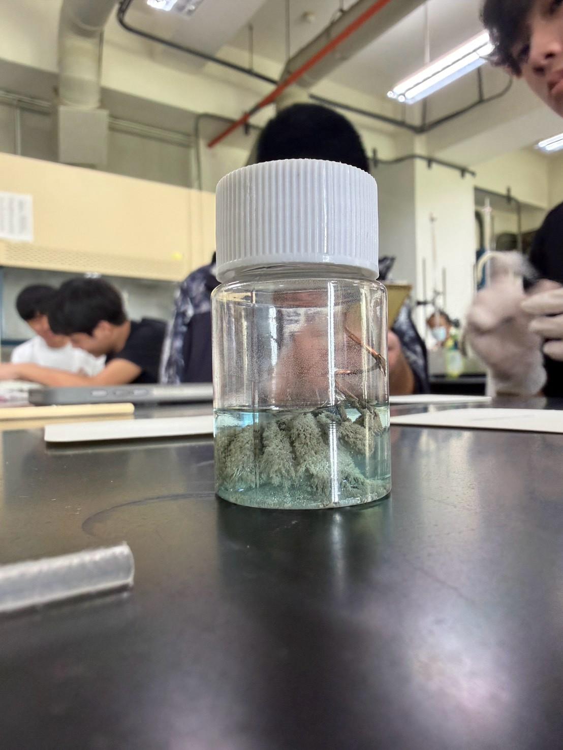 115嘉大化學實驗體驗課(高一)(11)