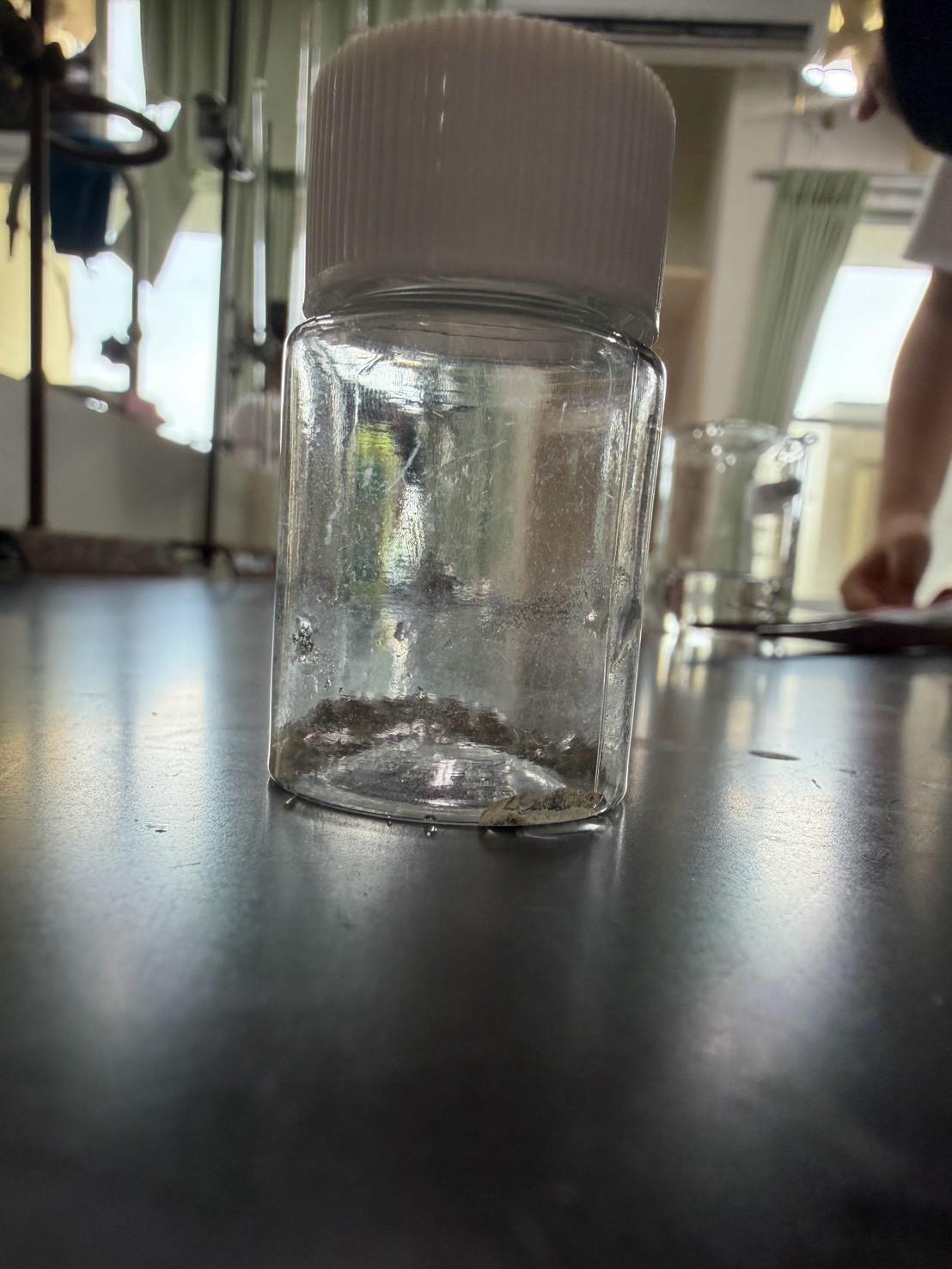 115嘉大化學實驗體驗課(高一)(25)
