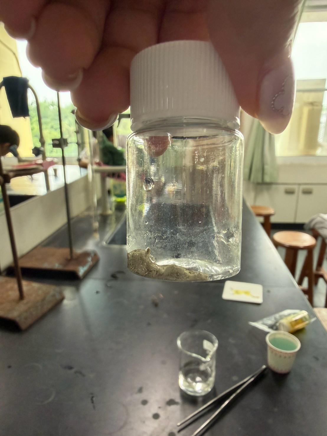 115嘉大化學實驗體驗課(高一)(27)