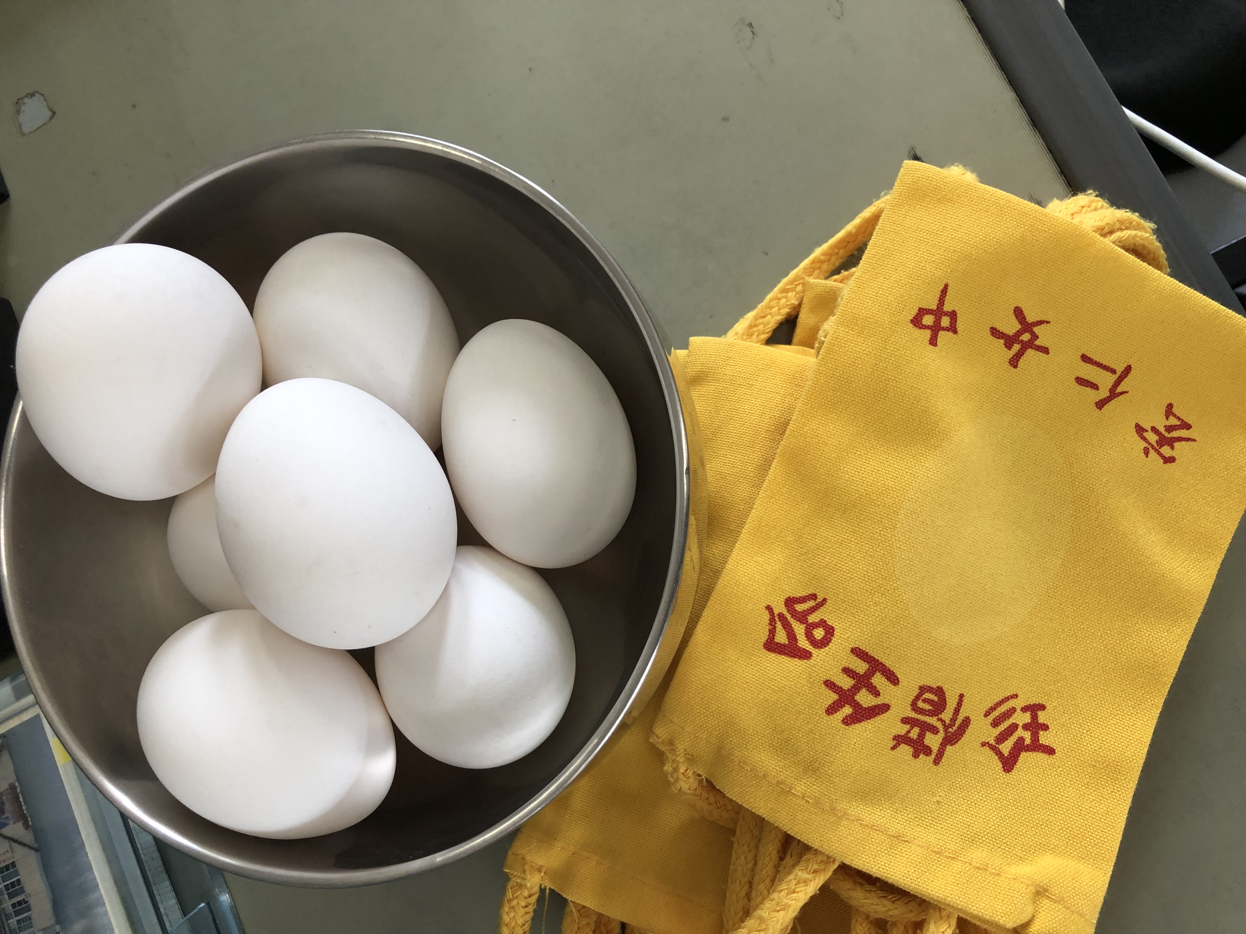 108-2國一護蛋天使體驗活動